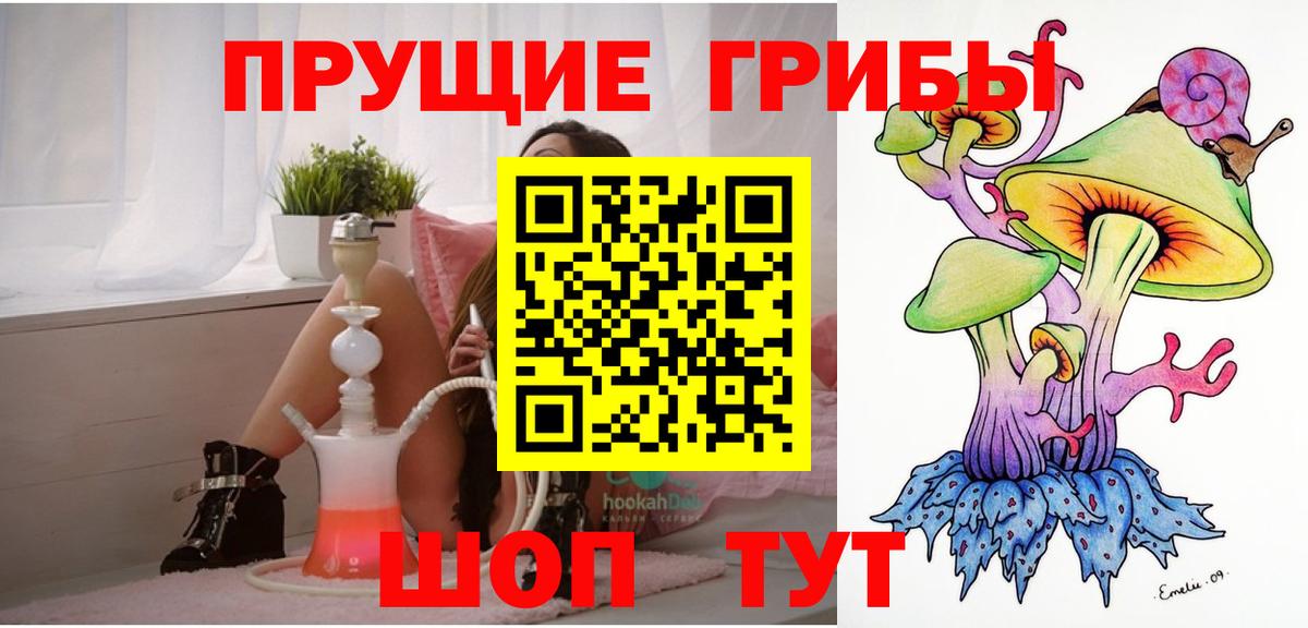 Галлюциногенные грибы Psilocybe Новоалександровск